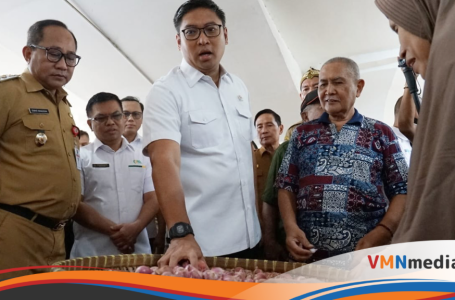 Wamentan Sudaryono Ajak Pemda Rutin Sidak Pasar untuk Jaga Ketersediaan dan Harga Sembako