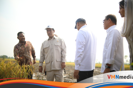 Panen dan Serap Gabah Di Gresik, Mentan Amran: Petani Bahagia, Terima Kasih Presiden Prabowo