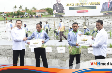 Potensi Tambah Luasan Tanam, Kementan dan Kejaksaan RI Sinergi Manfaatkan Lahan Hasil Sitaan