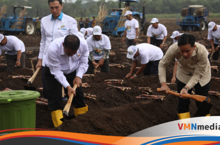 Mentan Tegaskan Komitmen Pemerintah untuk Petani Tebu di Hadapan Wapres