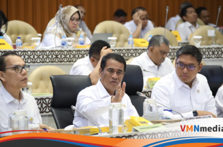 Harga Pangan Terkendali, Kementan Tuai Apresiasi Komisi IV DPR