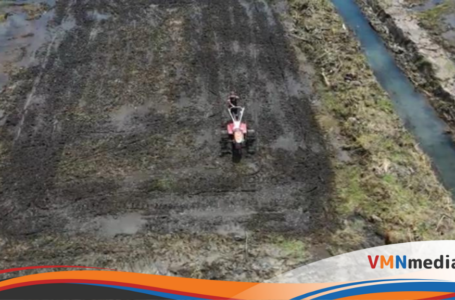 Kementan Perkuat Mekanisasi Pertanian, Sawah Baru Di Tanah Laut Siap Dongkrak Produksi Padi Kalsel