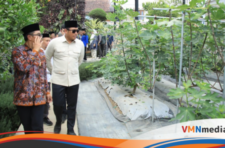 Sudaryono Bongkar Peta Jalan Kemandirian Pangan Nasional, Ini Strategi Besar Kementan!