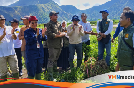 PANEN RAYA BAWANG PUTIH DI SEMBALUN MELAMPAUI TARGET, MENTAN AMRAN: KITA MENUJU SWASEMBADA BENIH HORTIKULTURA