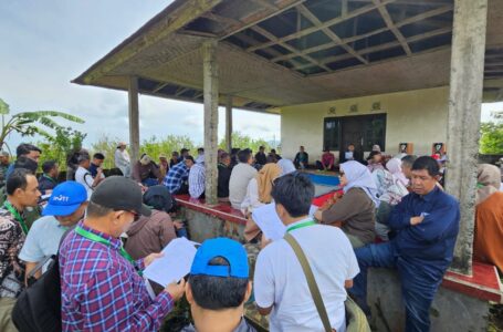 Kementan Akan Genjot Ekspor Hortikultura Lewat Program HDDAP