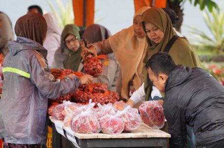 Jelang Nataru, Kementan Gelar Aksi Cabai dan Bawang Merah Harga Terjangkau*