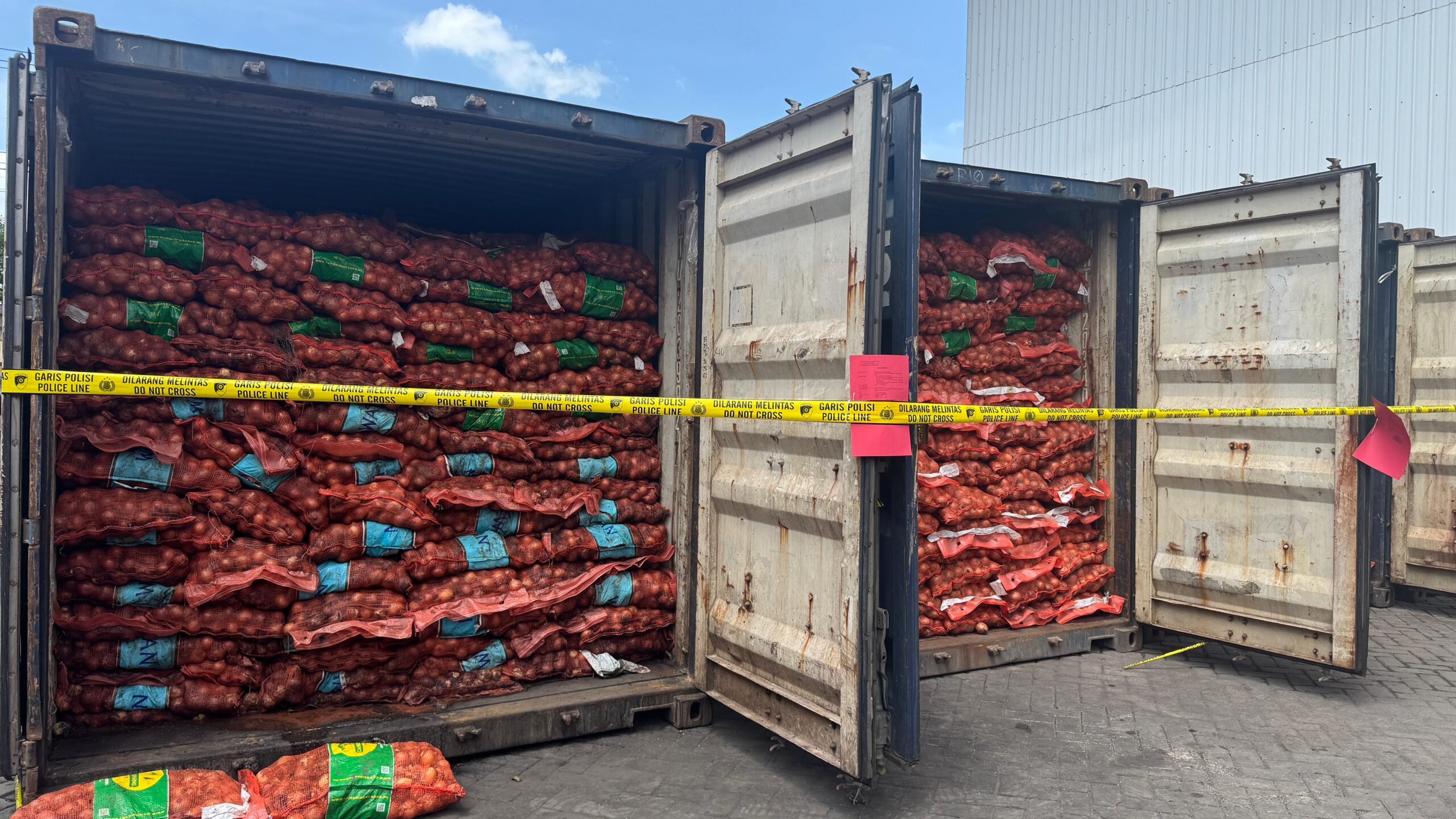 4 Organisme di Bawang Bombai Ilegal Ini Bisa Hancurkan Produksi Pertanian Nasional