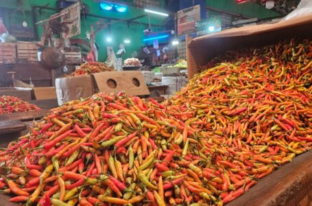 Stabilkan Harga, Kementan Kembali Guyur 1,7 Ton Cabai Rawit Merah ke Pasar Induk Kramat Jati