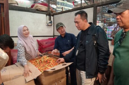Kementan Guyur 11 Ton Cabai ke PIKJ, Harga Cabai Rawit Merah Turun di Hari Ke-6 Ramadan